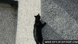 Картинки по запросу climbing balcony gif